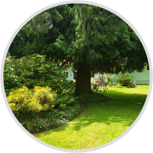 Landscaping Services