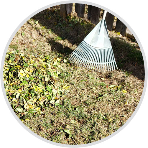 Raking Leaves